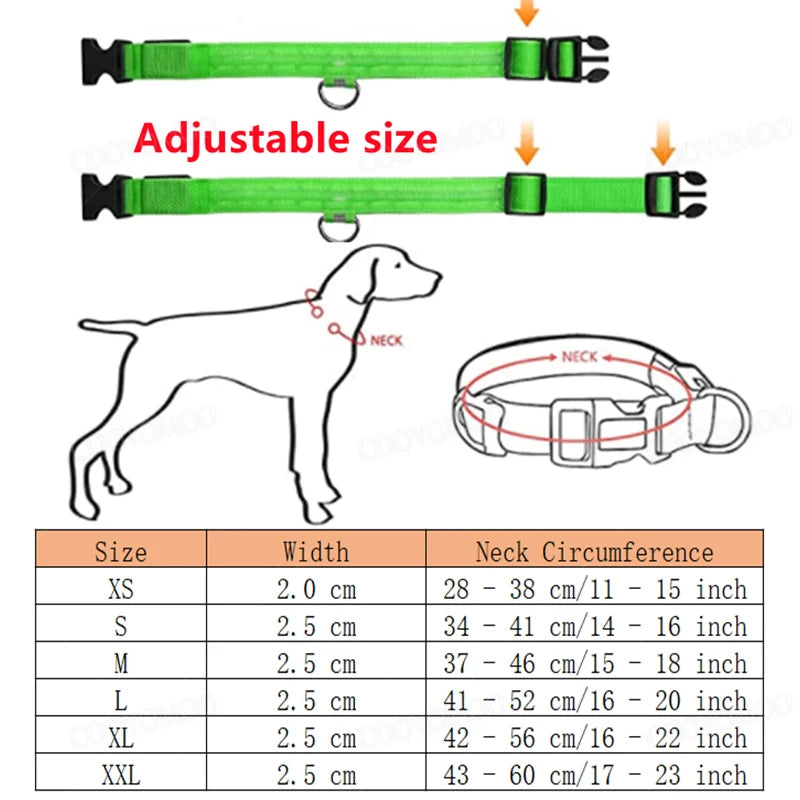 Collier LED Rechargeable pour Chien — 3 Modes d'Éclairage, USB