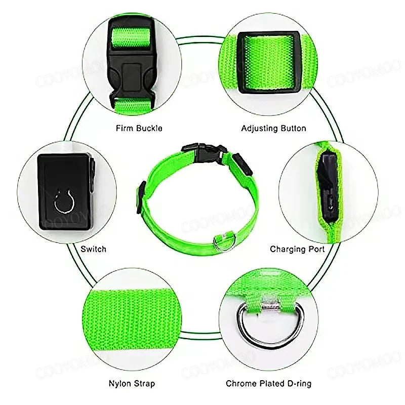 Collier LED Rechargeable pour Chien — 3 Modes d'Éclairage, USB