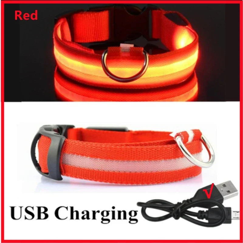Collier LED Rechargeable pour Chien — 3 Modes d'Éclairage, USB
