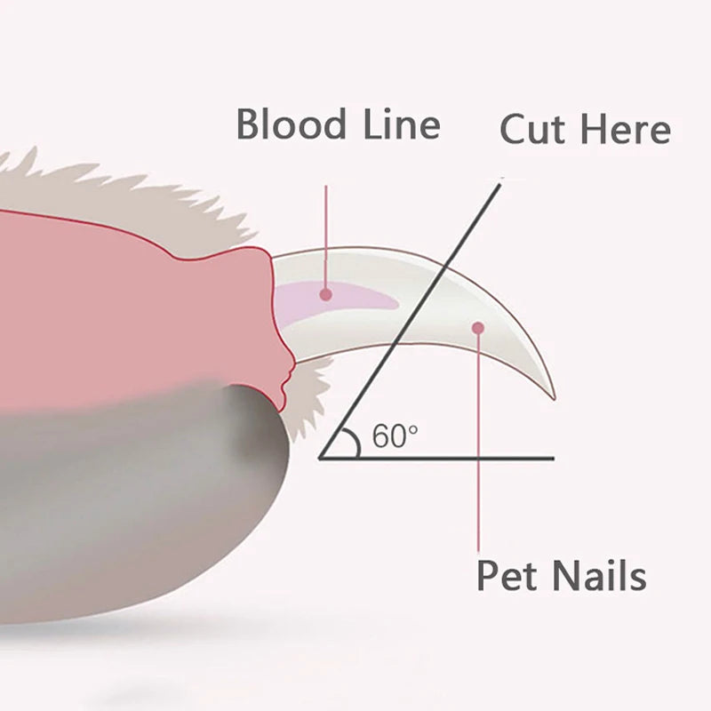 Coupe-Ongles LED pour Chien & Chat — Butée de Sécurité