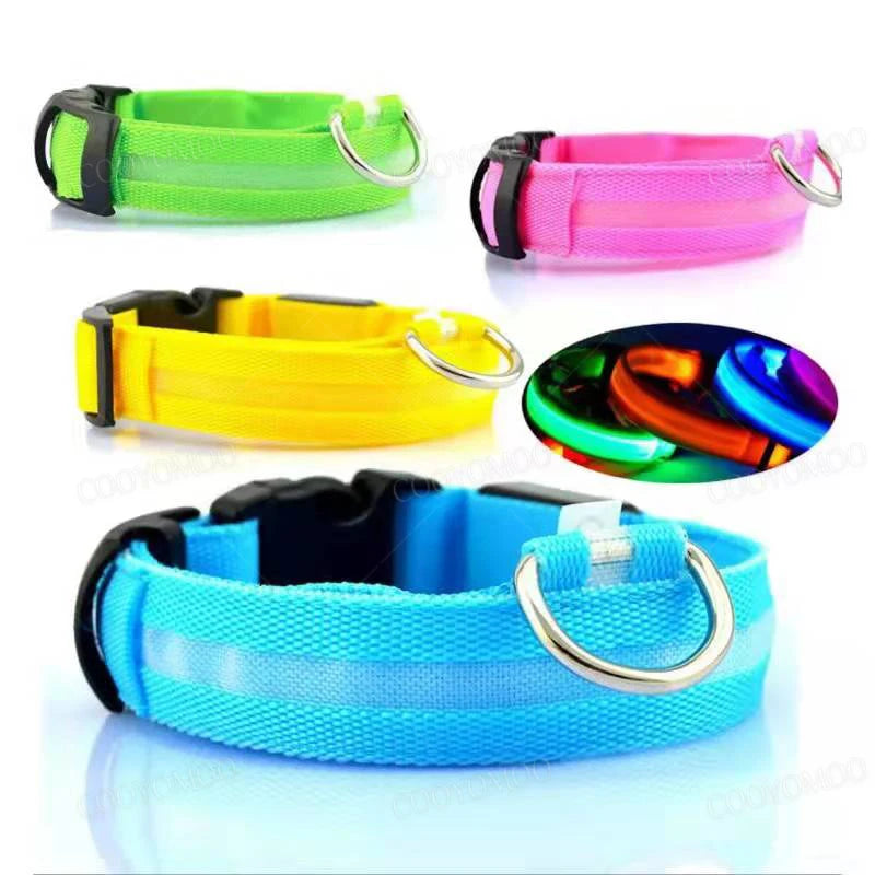 Collier LED Rechargeable pour Chien — 3 Modes d'Éclairage, USB