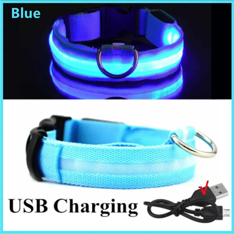 Collier LED Rechargeable pour Chien — 3 Modes d'Éclairage, USB