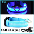 Collier LED Rechargeable pour Chien — 3 Modes d'Éclairage, USB