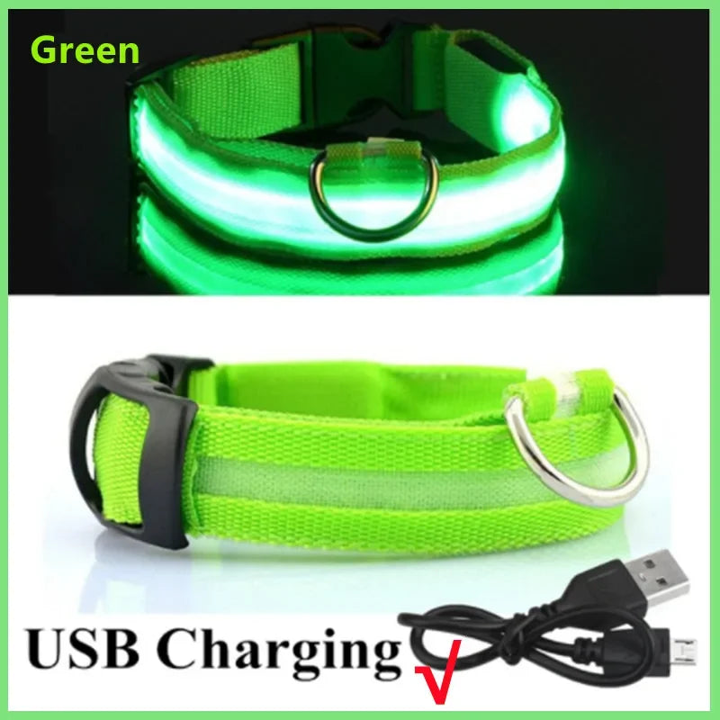Collier LED Rechargeable pour Chien — 3 Modes d'Éclairage, USB