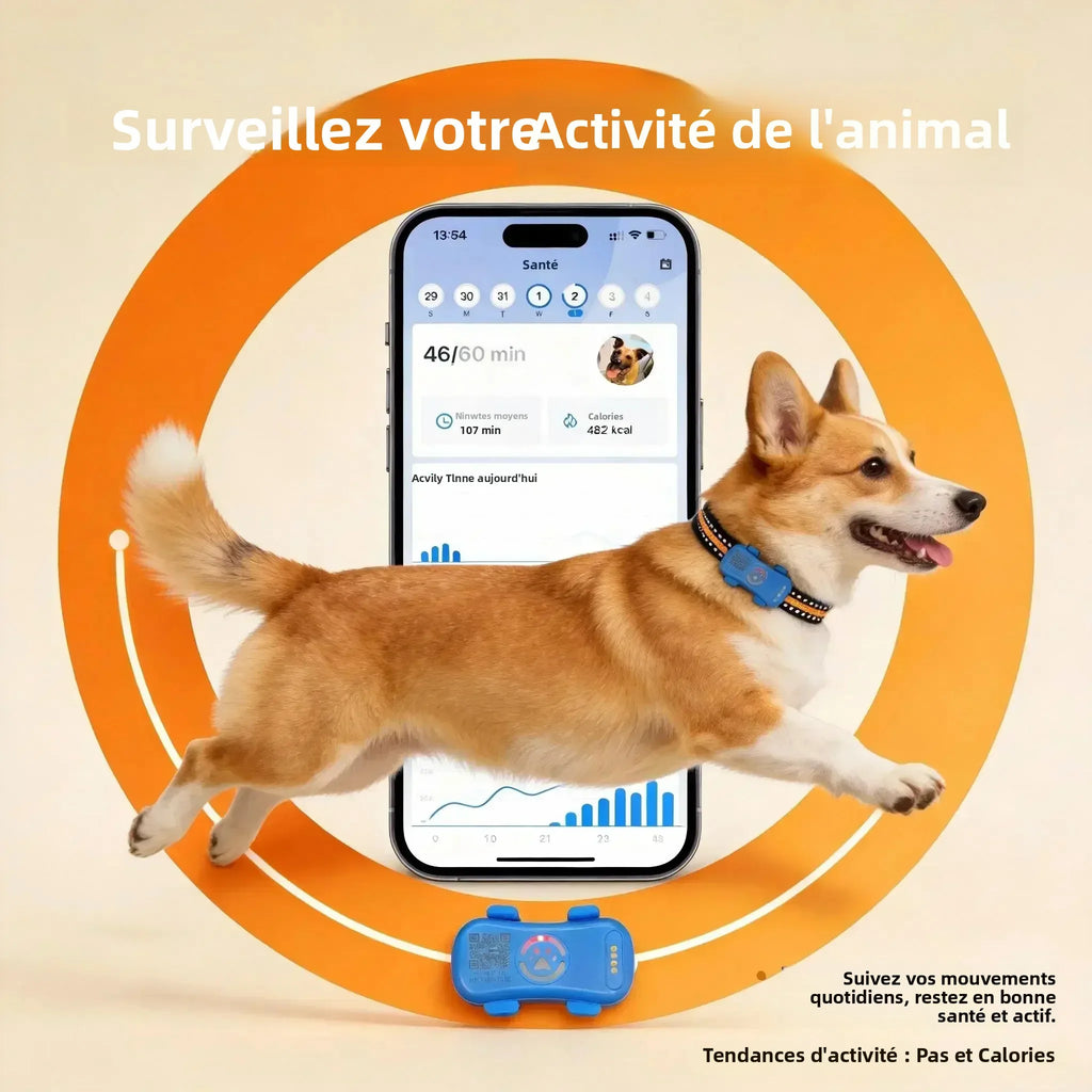 Collier GPS traceur pour animaux – Localisez-les partout, à tout moment