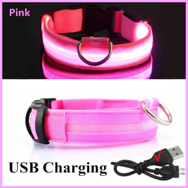 Collier LED Rechargeable pour Chien — 3 Modes d'Éclairage, USB