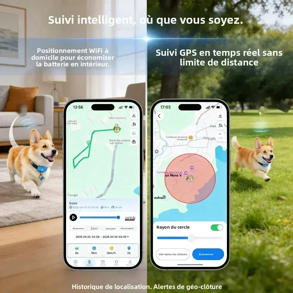 Collier GPS traceur pour animaux – Localisez-les partout, à tout moment