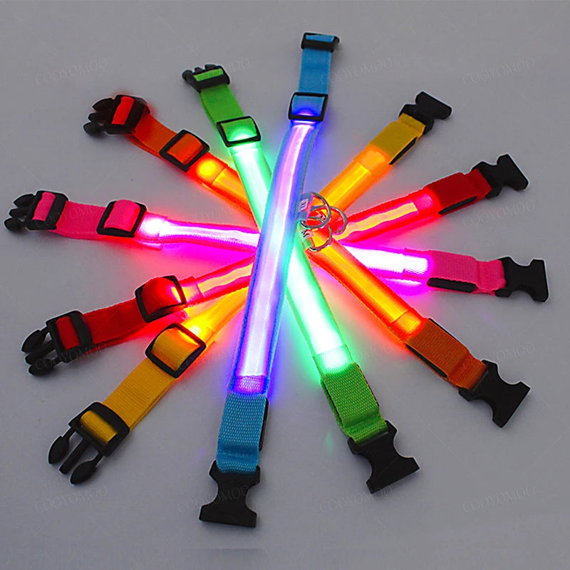 Collier LED Rechargeable pour Chien — 3 Modes d'Éclairage, USB