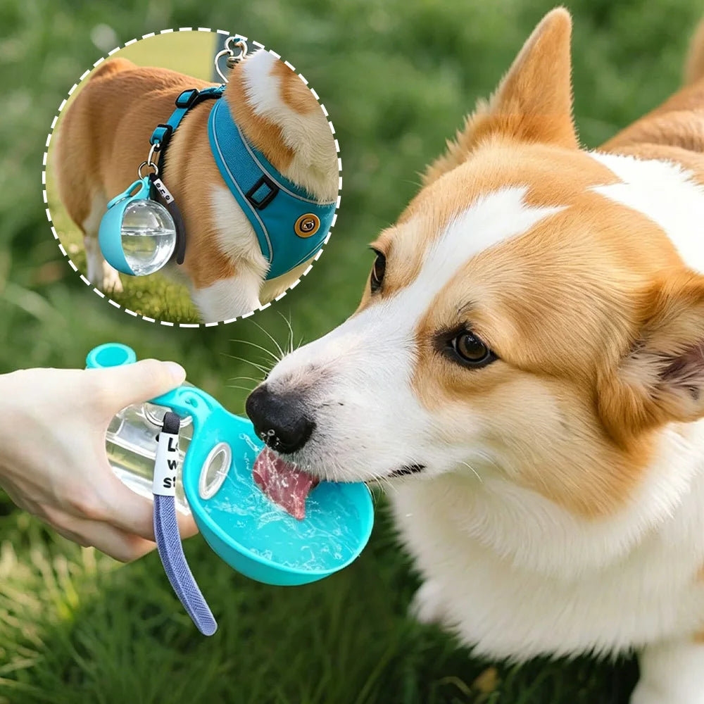 2-in-1 Portable Dog Water Bottle — Leak-Proof Silicone Bowl for Walks & Travel