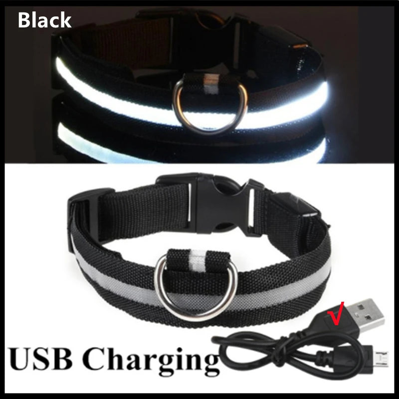 Collier LED Rechargeable pour Chien — 3 Modes d'Éclairage, USB