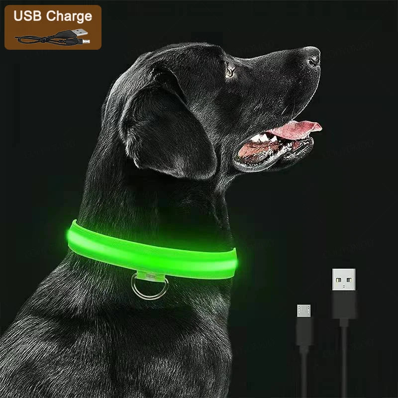 Collier LED Rechargeable pour Chien — 3 Modes d'Éclairage, USB